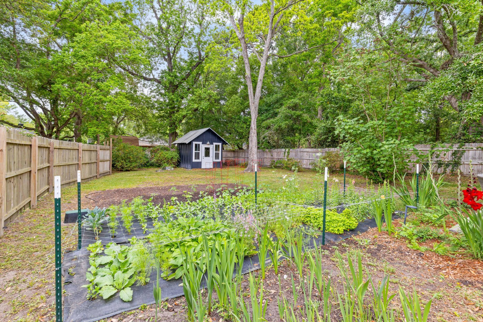 339 Millcreek Drive Photo 31