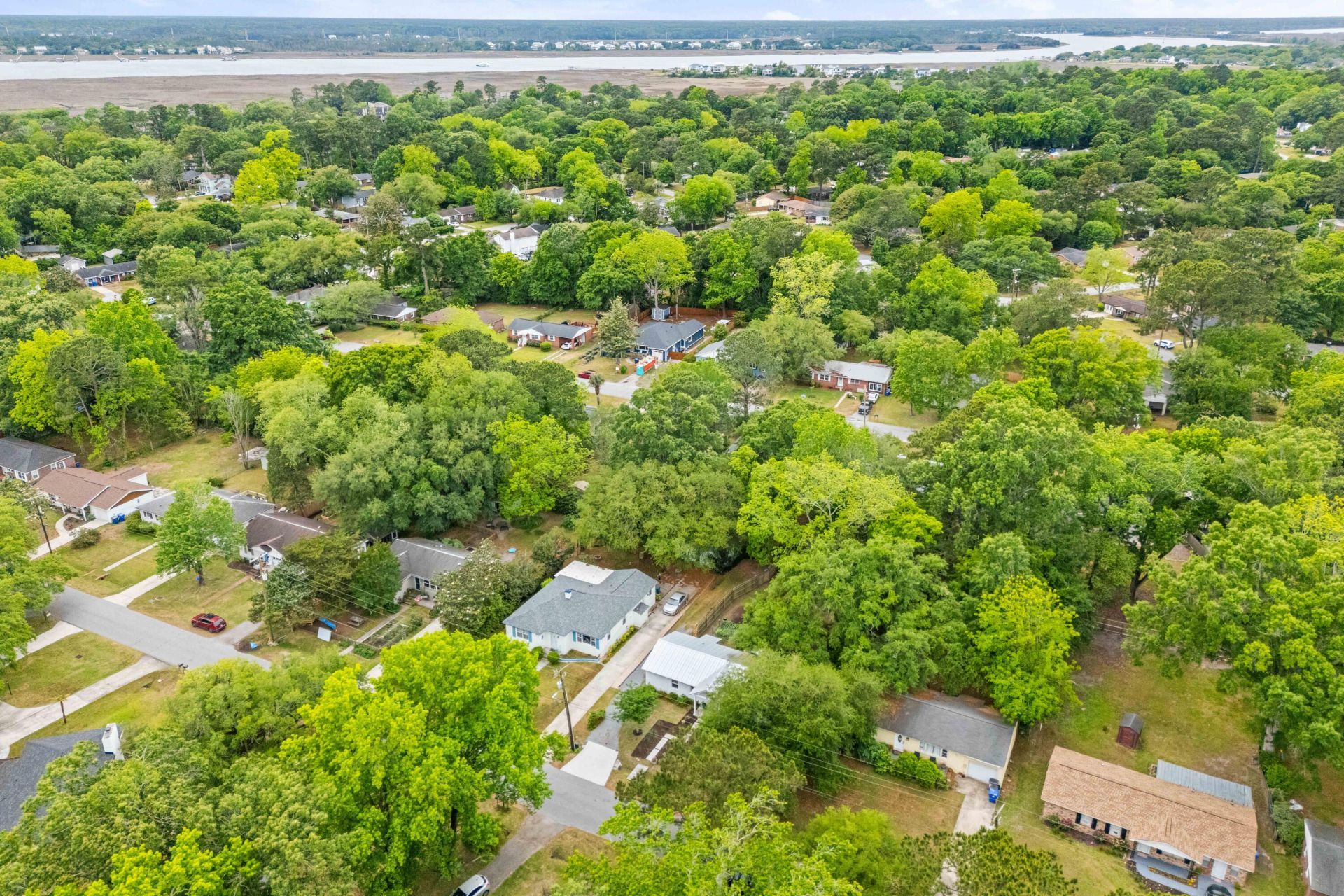 339 Millcreek Drive Photo 41