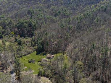 2050 Pedlar River Rd , Vesuvius, VA 24483