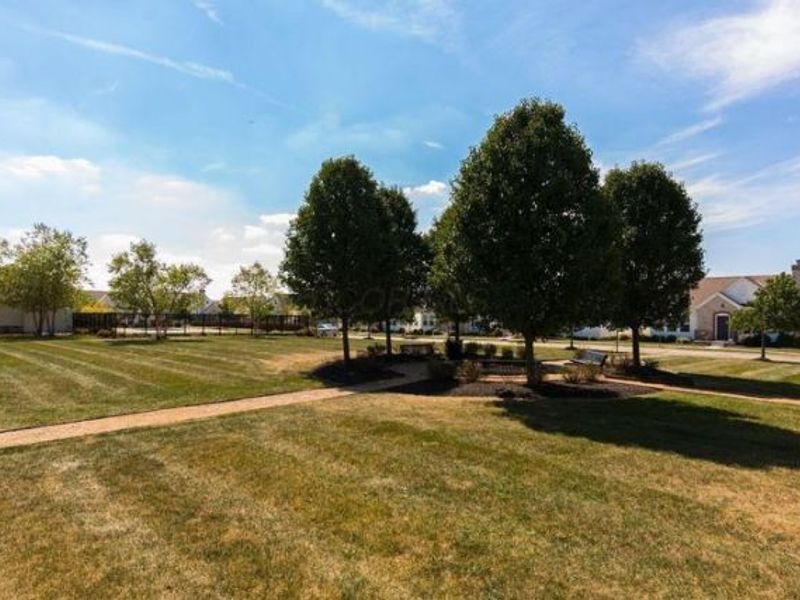 5855 Buckhannon Street, Dublin, OH 43016 Photo 38