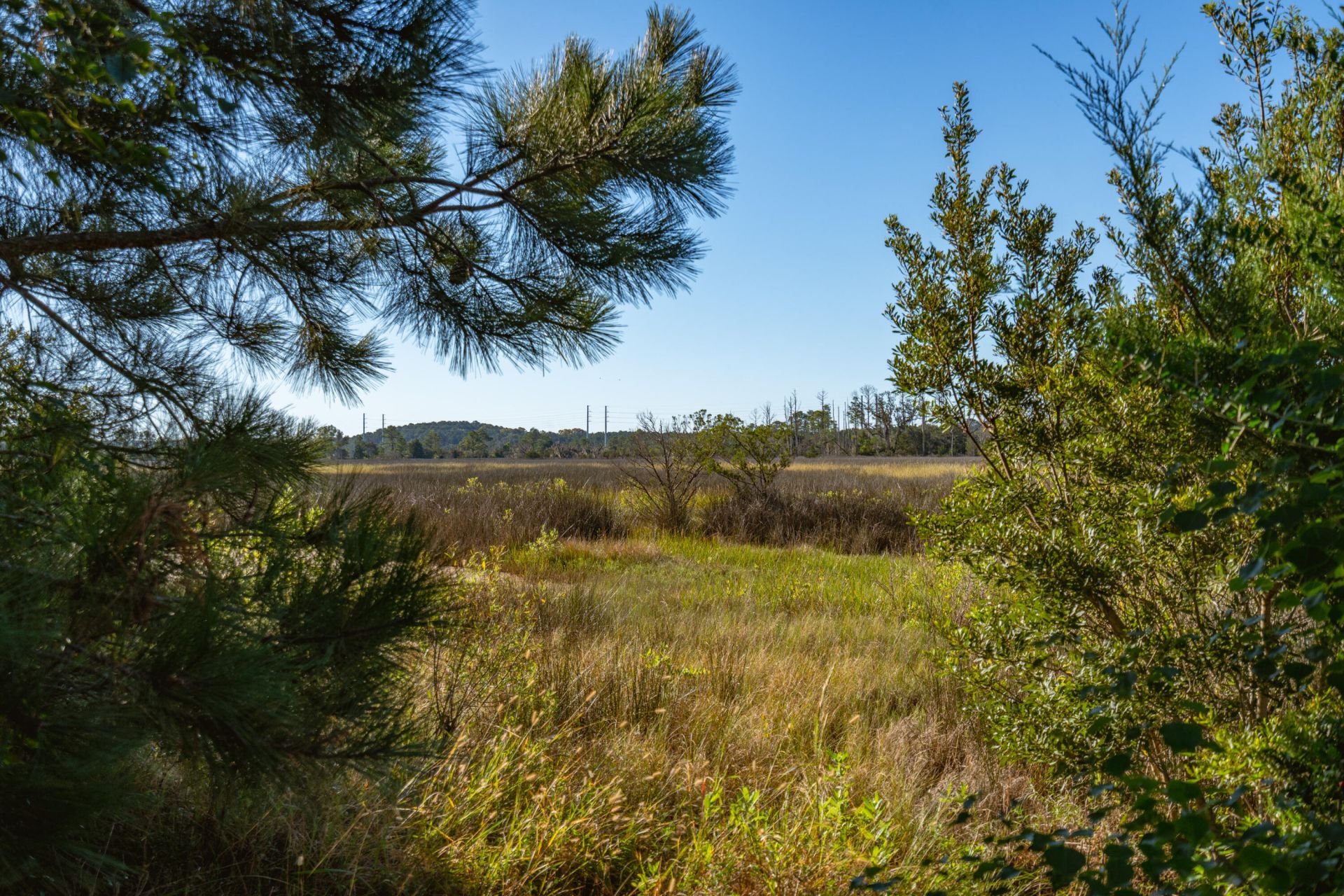 2389 Rushland Landing Road Photo 11