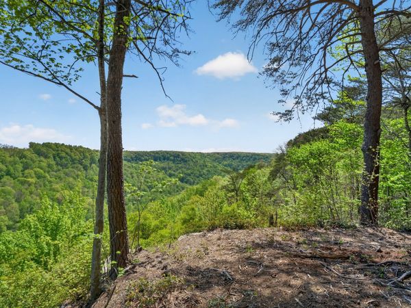 2076 Timberwood Trace Lots 317&318 , Monteagle, TN 37356