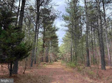 WYATT FARM ROAD (TRACT: C118 CARTER-WELLS) , DRY FORK, VA 24549