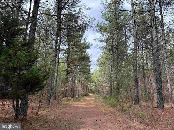 WYATT FARM ROAD (TRACT: C118 CARTER-WELLS), DRY FORK, VA 24549