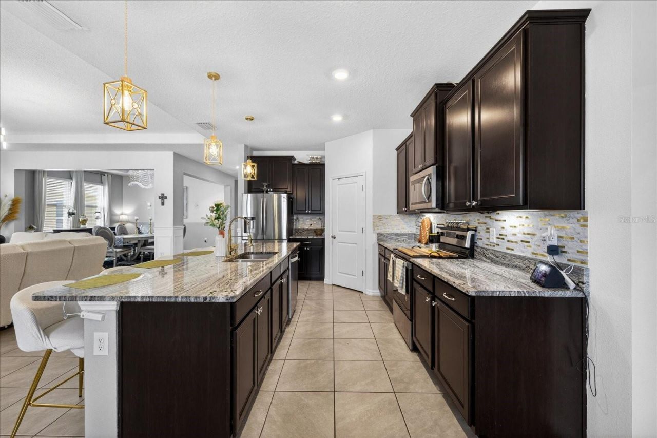 13504 Golden Lime Avenue, Spring Hill, FL 34609 Photo