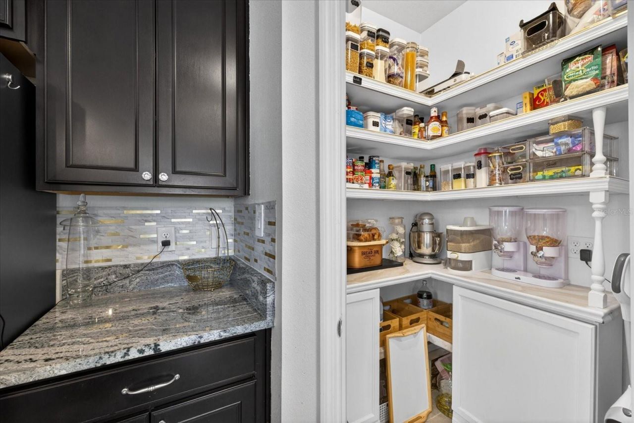 13504 Golden Lime Avenue, Spring Hill, FL 34609 Photo