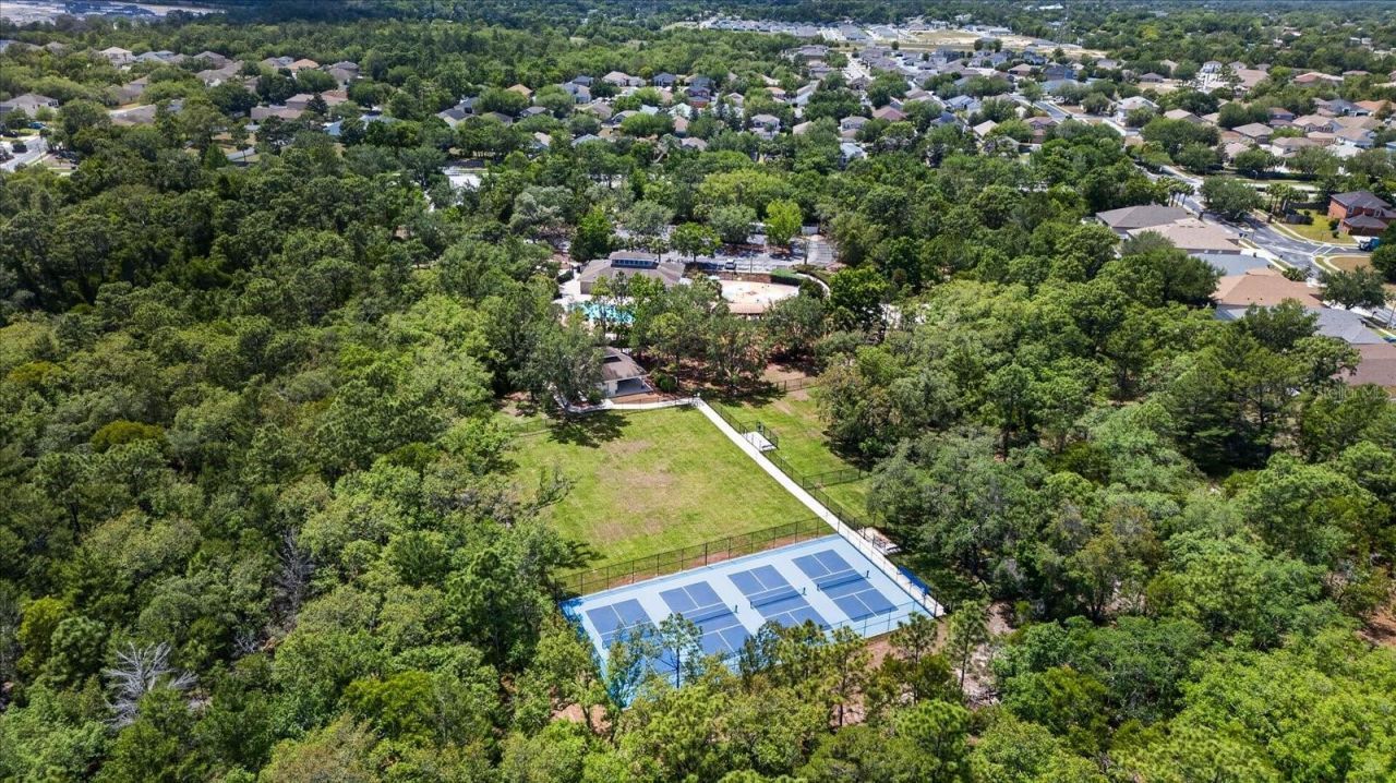 13504 Golden Lime Avenue, Spring Hill, FL 34609 Photo