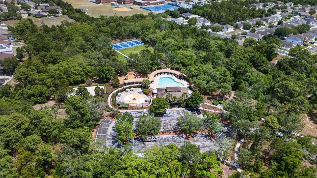 13504 Golden Lime Avenue, Spring Hill, FL 34609 Photo