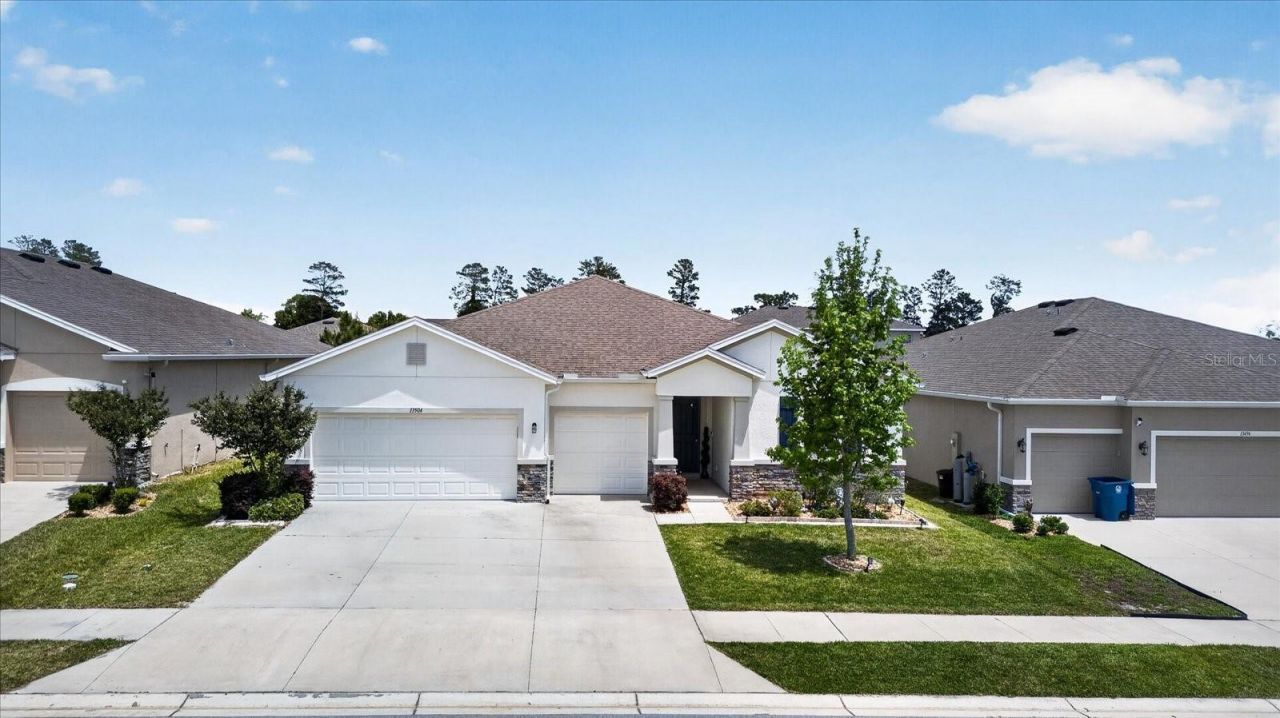 13504 Golden Lime Avenue, Spring Hill, FL 34609 Photo