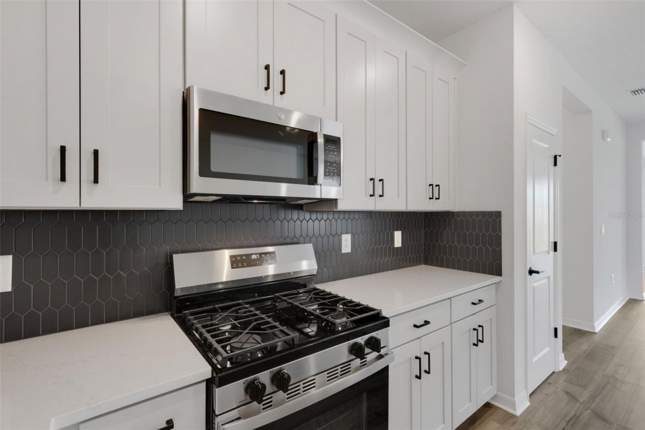 8717 Canard Cv, Palmetto, FL 34221 Photo