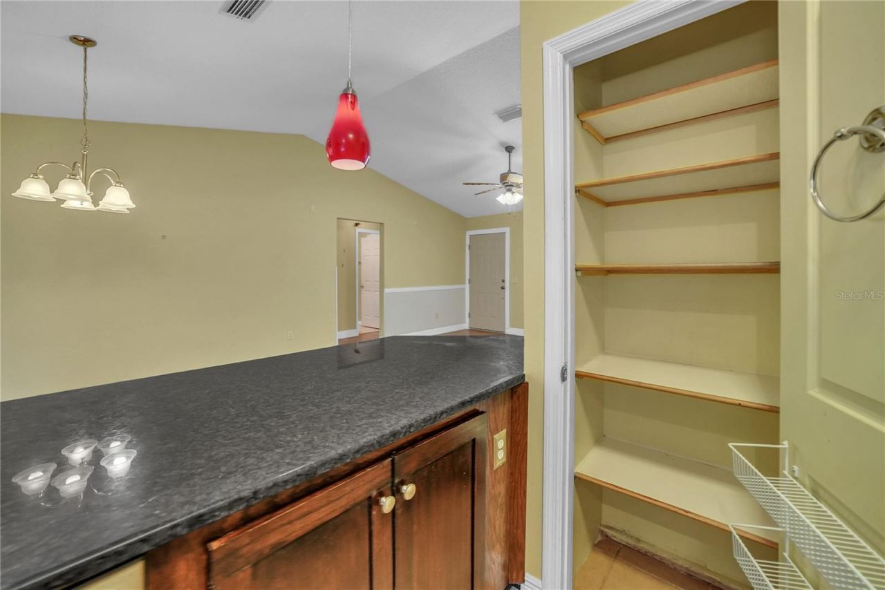 3624 Trout Avenue, Fruitland Park, FL 34731 Photo