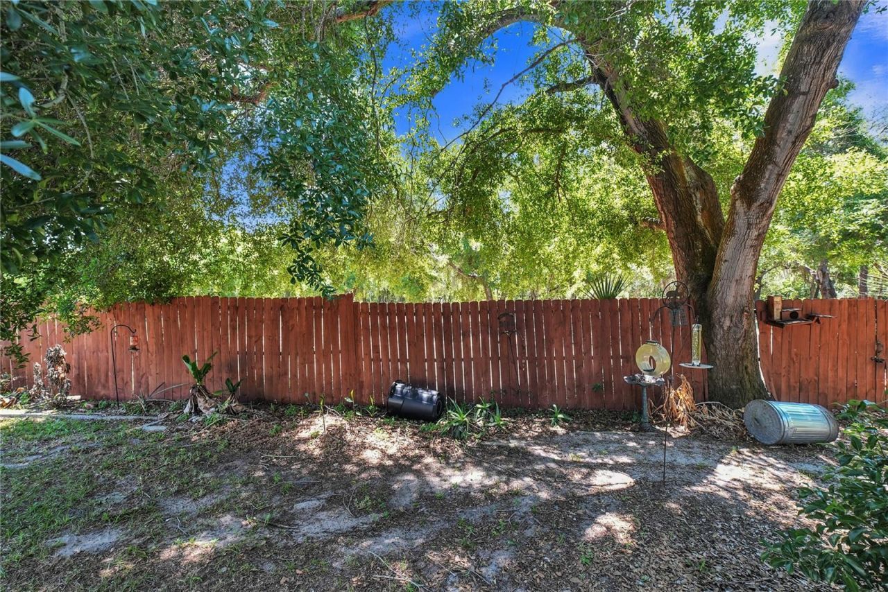 3624 Trout Avenue, Fruitland Park, FL 34731 Photo