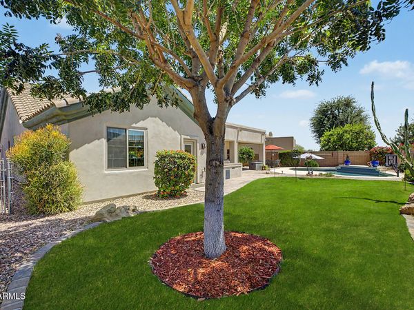 14619 W INDIANOLA Avenue, Goodyear, AZ 85395