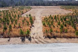 8 Highway 6 photo 4
