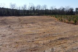 8 Highway 6 photo 4