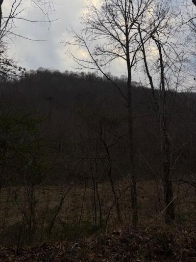 9999 Paint Gap Road, Flat Lick, KY 40935 Main Photo