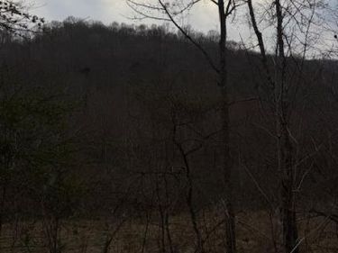 9999 Paint Gap Road, Flat Lick, KY 40935