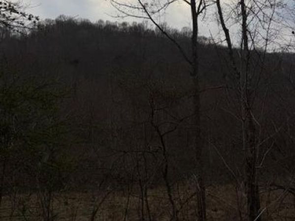 9999 Paint Gap Road, Flat Lick, KY 40935