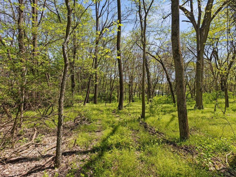 1078 State Route 257 S, Delaware, OH 43015 Photo 65