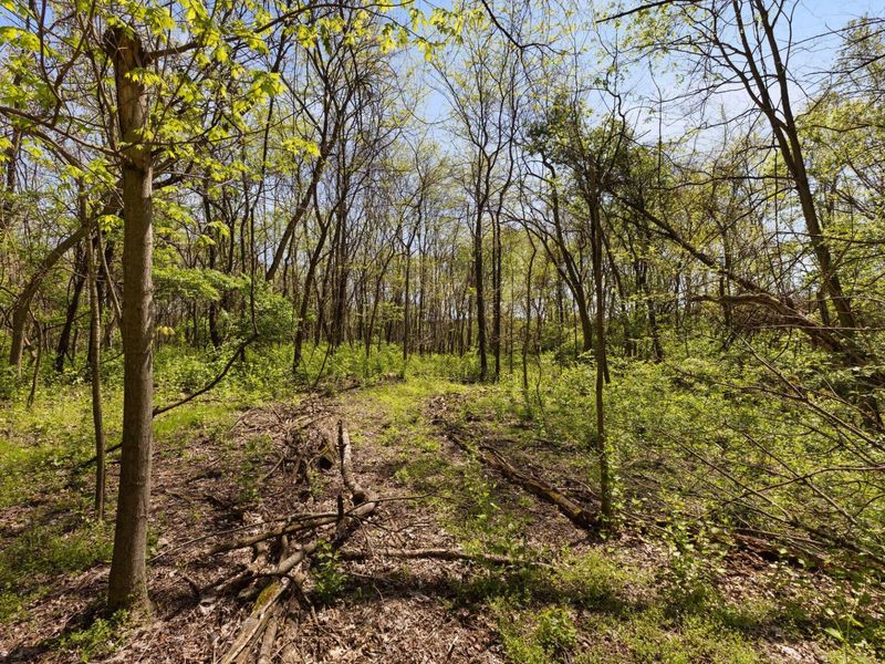 1078 State Route 257 S, Delaware, OH 43015 Photo 66