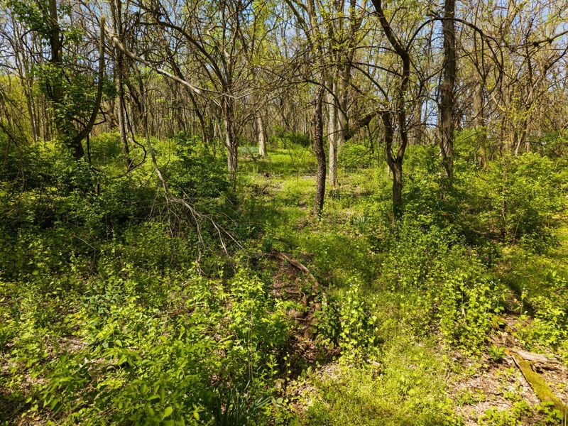 1078 State Route 257 S, Delaware, OH 43015 Photo 79