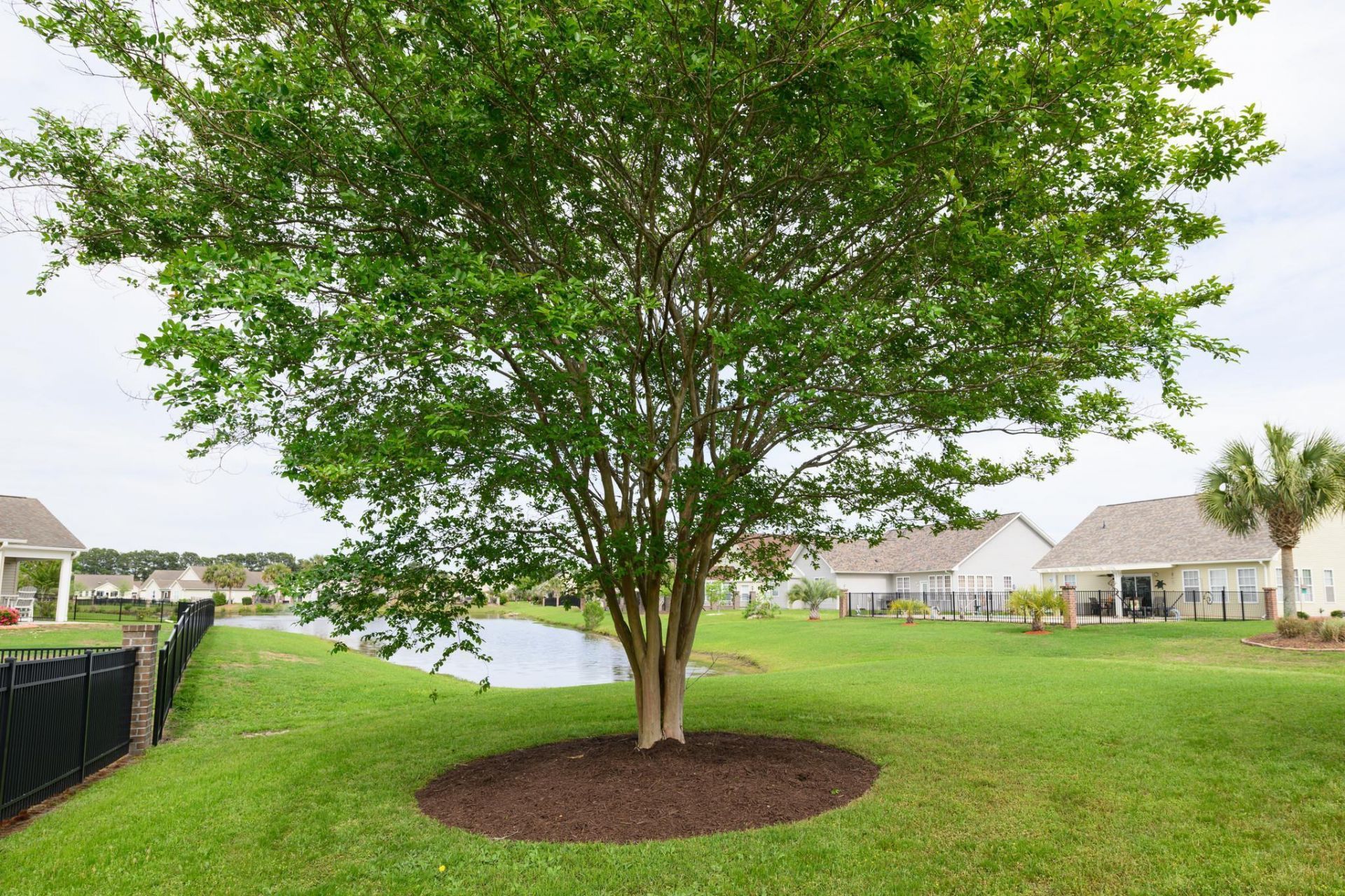 195 Sutter Dr.  Photo 48