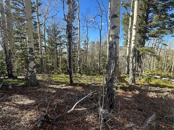 Lot 6744 Starkweather Road , San Luis, CO 81152