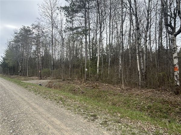 Wagner Road , Dansville, NY 14437