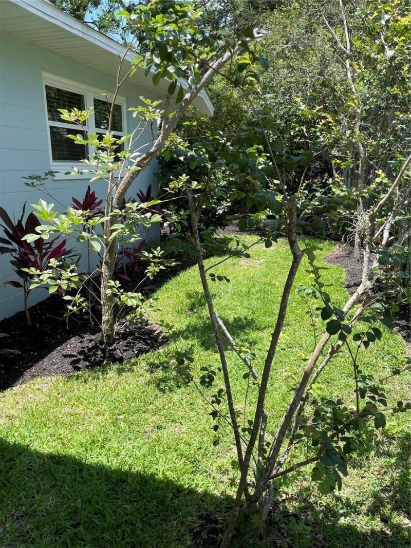 624 Fifth Street, Clermont, FL 34711 Photo