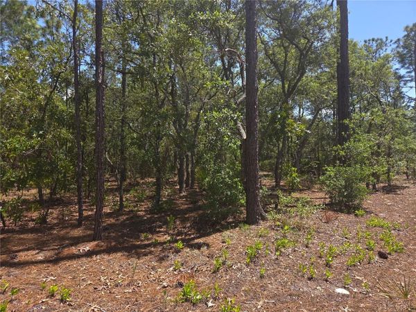 4231 W BONANZA DRIVE , BEVERLY HILLS, FL 34465