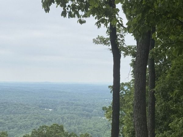 LOT 38 Mountainside Drive, Cleveland, GA 30528