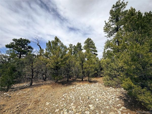 76 Mill Run Road , Mosca, CO 81146