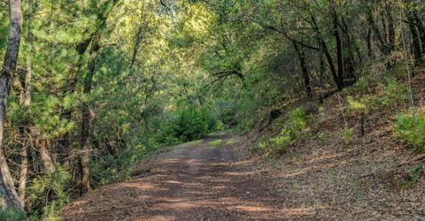 12511 Tabeaud Rd, Pine Grove, CA 95665 Photo