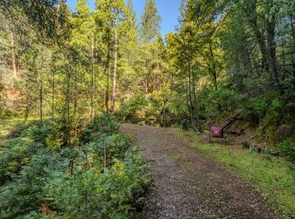 12511 Tabeaud Rd, Pine Grove, CA 95665 Photo