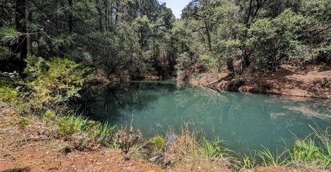 12511 Tabeaud Rd, Pine Grove, CA 95665 Photo