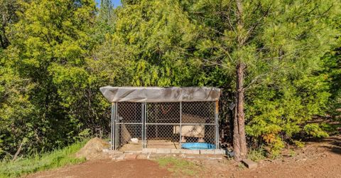 12511 Tabeaud Rd, Pine Grove, CA 95665 Photo