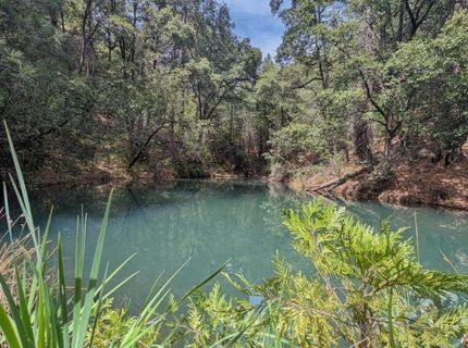 12511 Tabeaud Rd, Pine Grove, CA 95665 Photo
