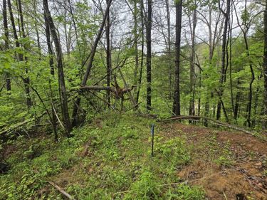Lot 52 Soul Canyon Hideaways Development , Zoe, KY 41397