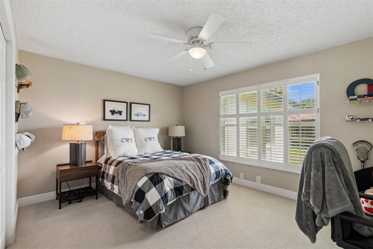 3337 Hyde Park Drive, Clearwater, FL 33761 Photo