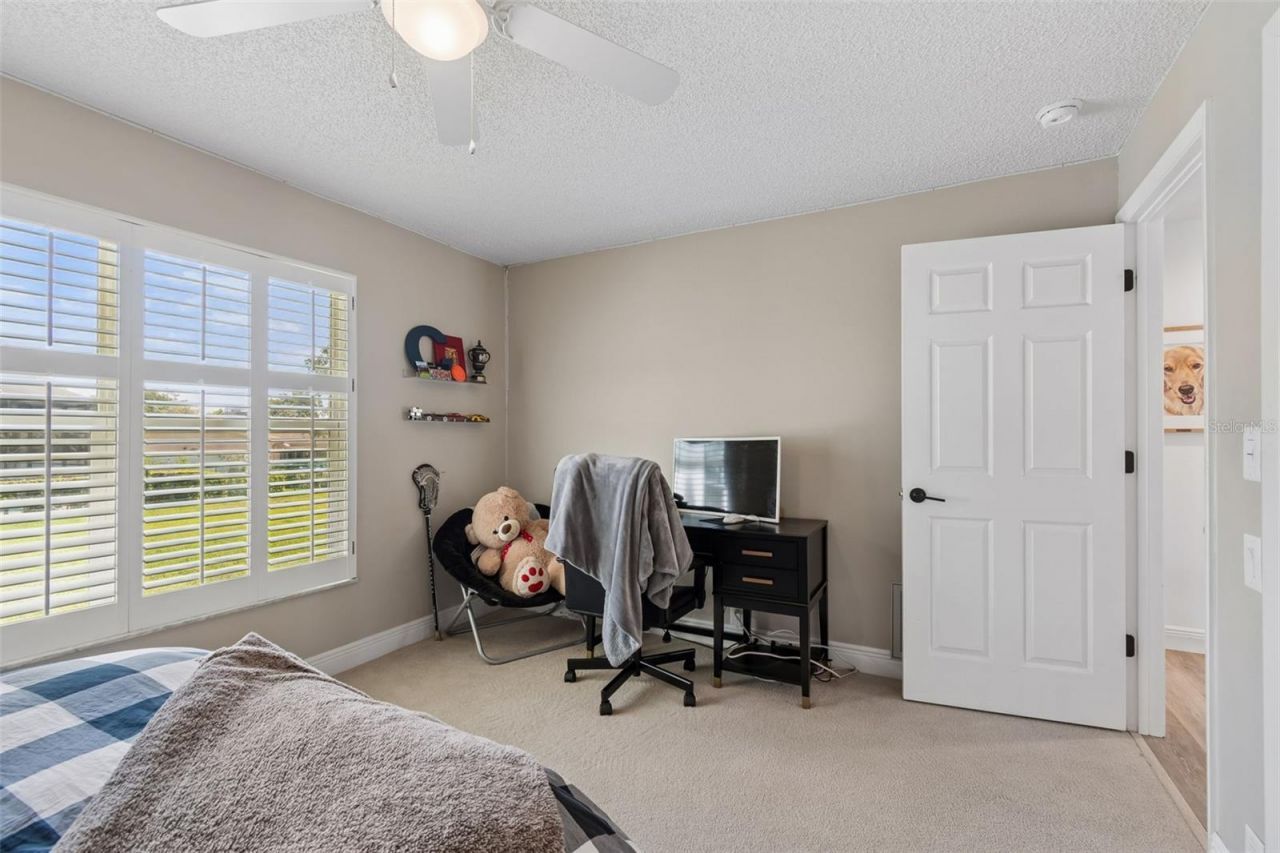 3337 Hyde Park Drive, Clearwater, FL 33761 Photo