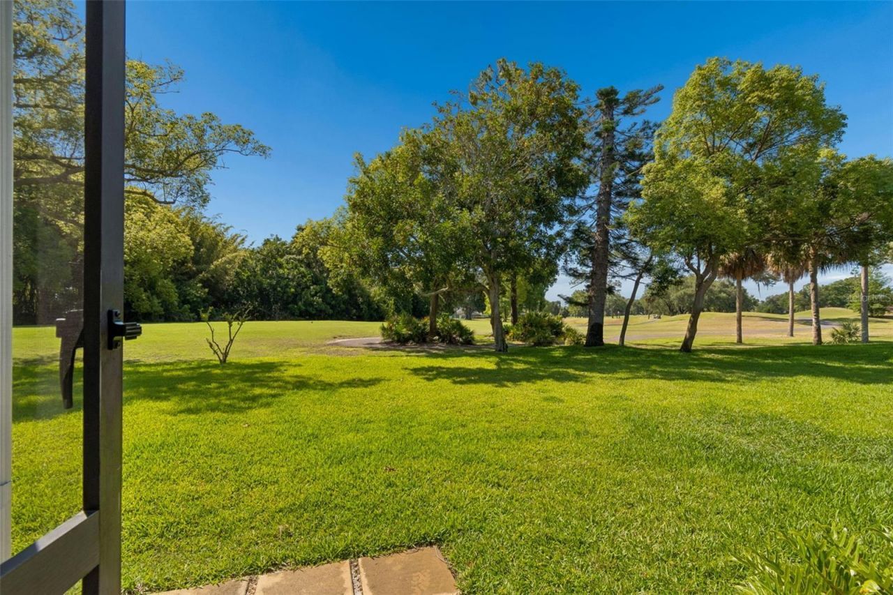 3337 Hyde Park Drive, Clearwater, FL 33761 Photo