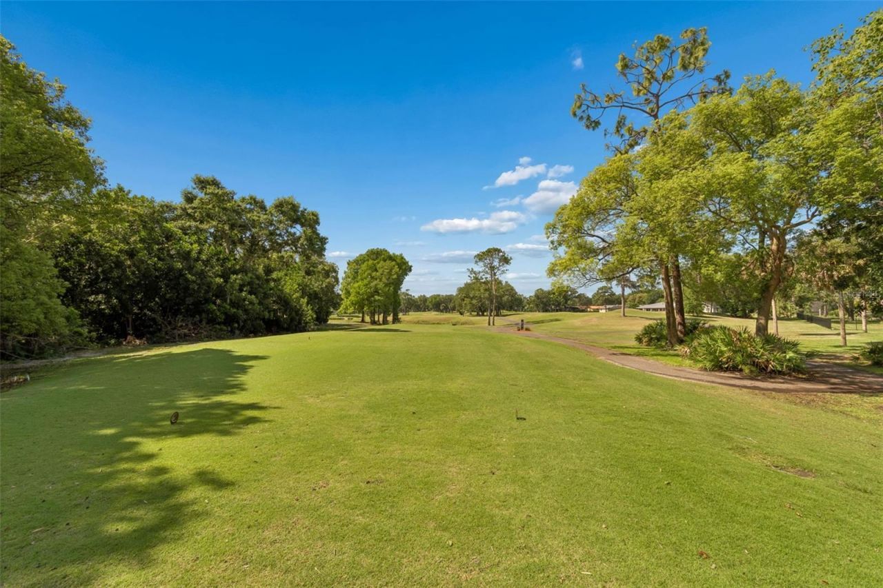 3337 Hyde Park Drive, Clearwater, FL 33761 Photo