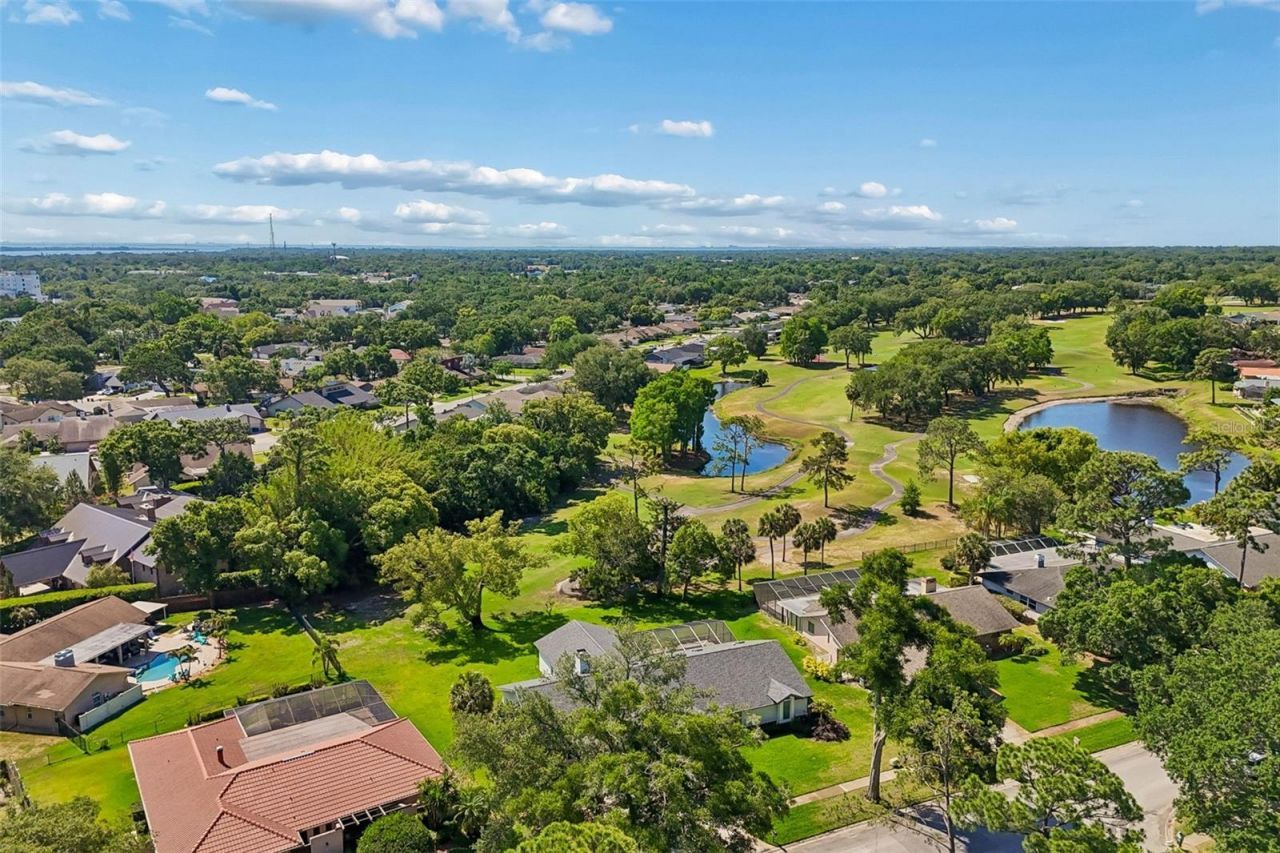 3337 Hyde Park Drive, Clearwater, FL 33761 Photo