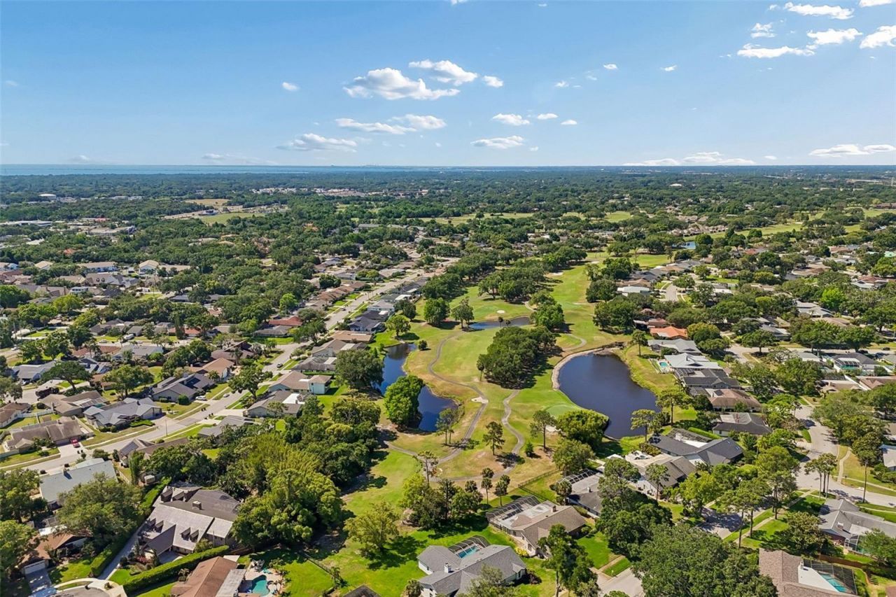 3337 Hyde Park Drive, Clearwater, FL 33761 Photo