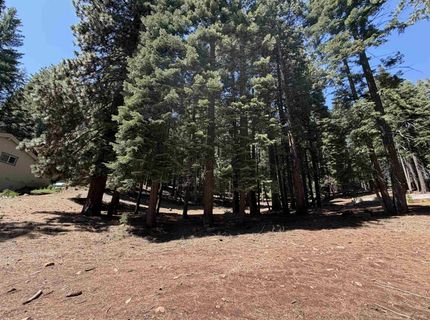 663 E Mountain Ridge Road, Lake Almanor, CA 96137 Photo