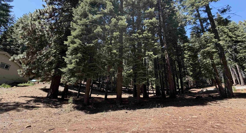 663 E Mountain Ridge Road, Lake Almanor, CA 96137 Photo