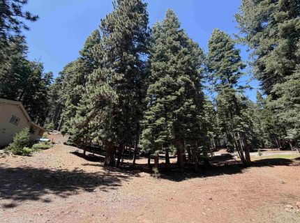 663 E Mountain Ridge Road, Lake Almanor, CA 96137 Photo