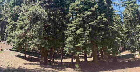 663 E Mountain Ridge Road, Lake Almanor, CA 96137 Photo