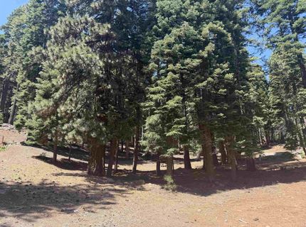 663 E Mountain Ridge Road, Lake Almanor, CA 96137 Photo