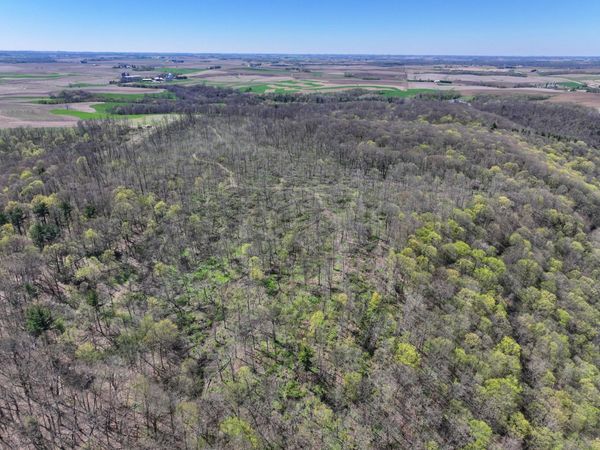 tbd Tierney Drive , Saint Charles, MN 55910